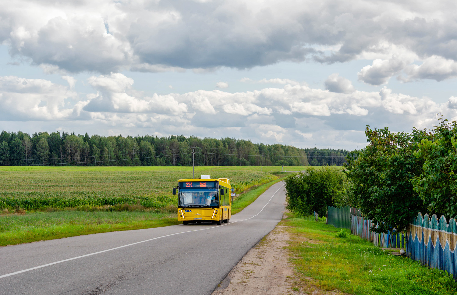 Минская область, МАЗ-203.147 № ВА 5904-5