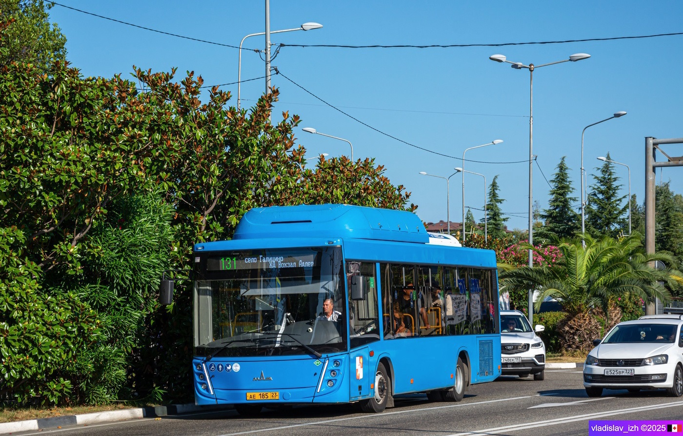 Краснодарский край, МАЗ-206.948 № АЕ 185 23