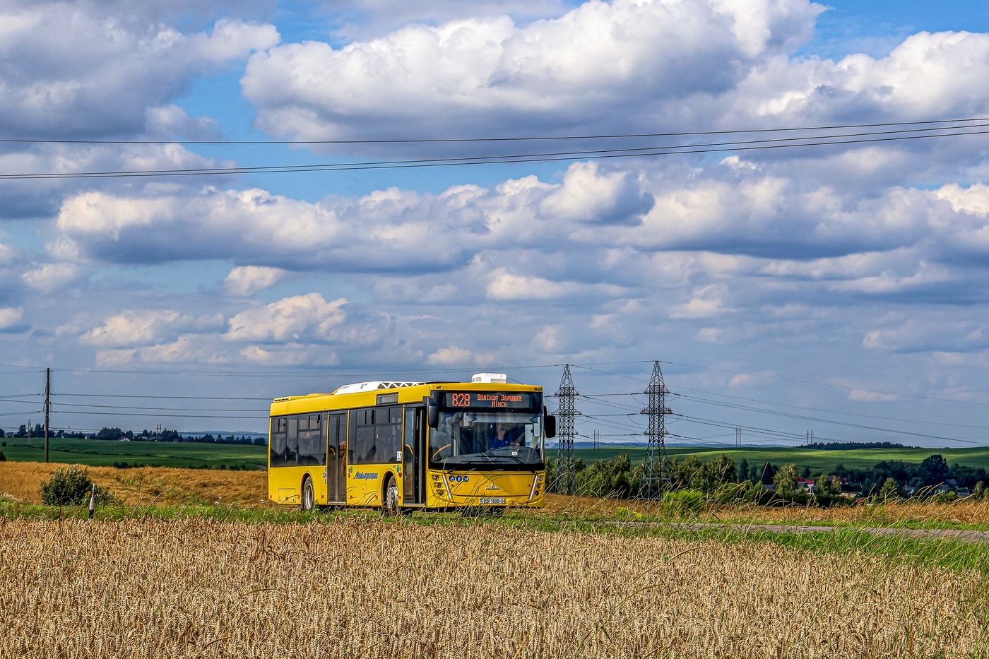 Минская область, МАЗ-203.147 № 20042