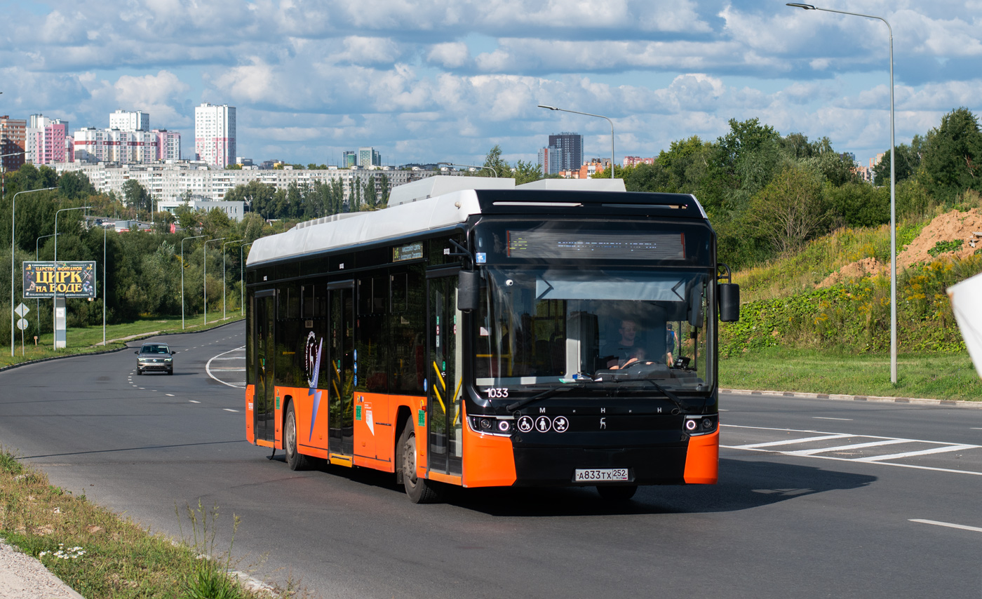 Нижегородская область, Нижэкотранс-6256 (БКМ-Е450) № 1033