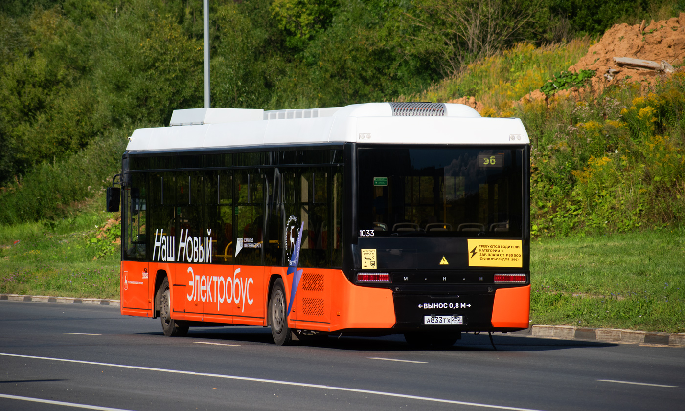 Нижегородская область, Нижэкотранс-6256 (БКМ-Е450) № 1033