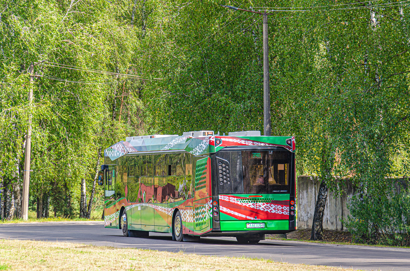 Брестская область, МАЗ-303.E10 № 500