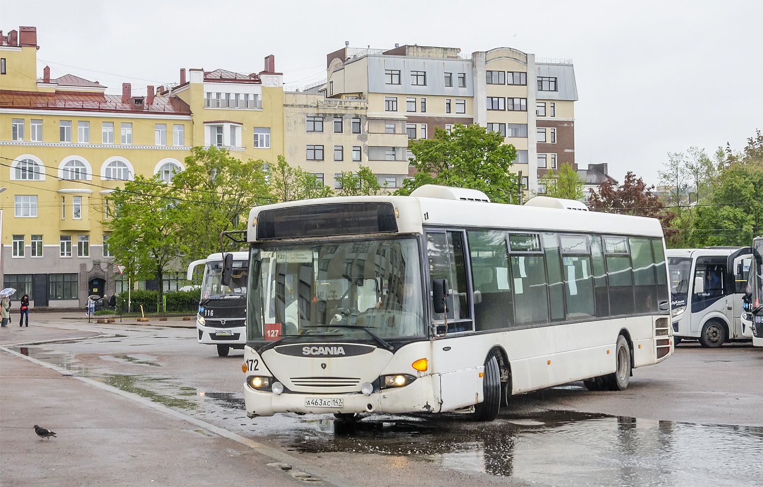 Ленинградская область, Scania OmniLink I (Скания-Питер) № 172