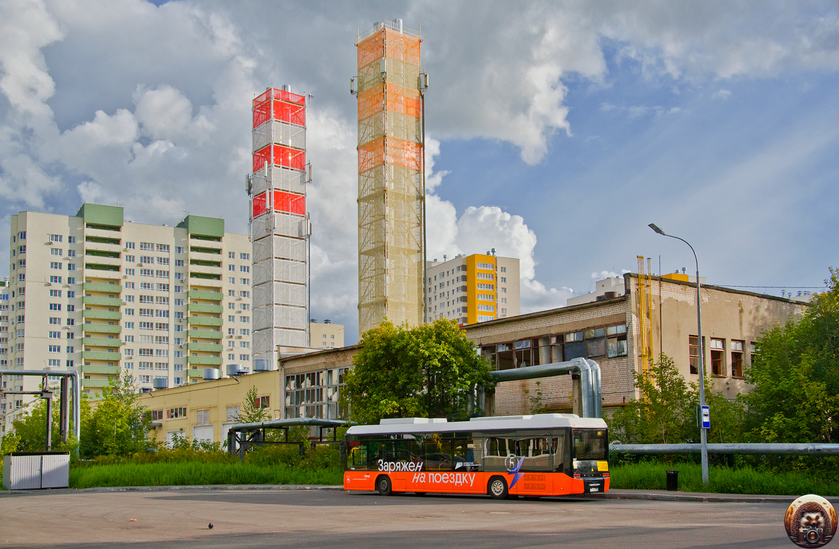 Нижегородская область, Нижэкотранс-6256 (БКМ-Е450) № 1047; Нижегородская область — Автовокзалы, автостанции, конечные остановки и станции
