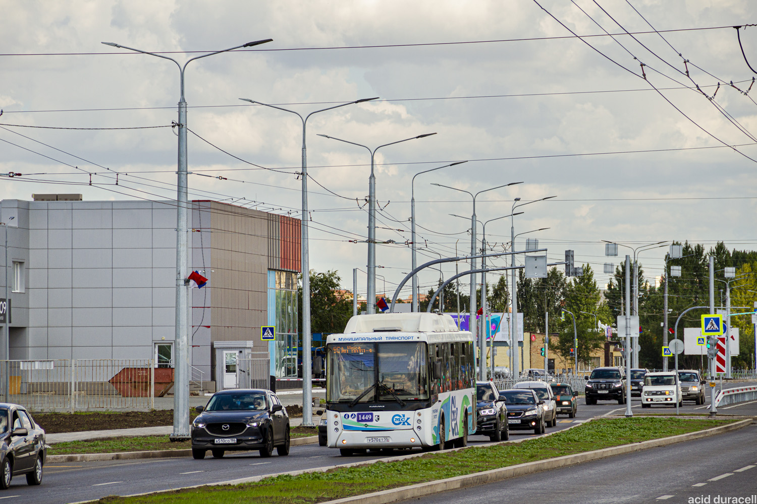 Omsk region, NefAZ-5299-30-56 č. 1449