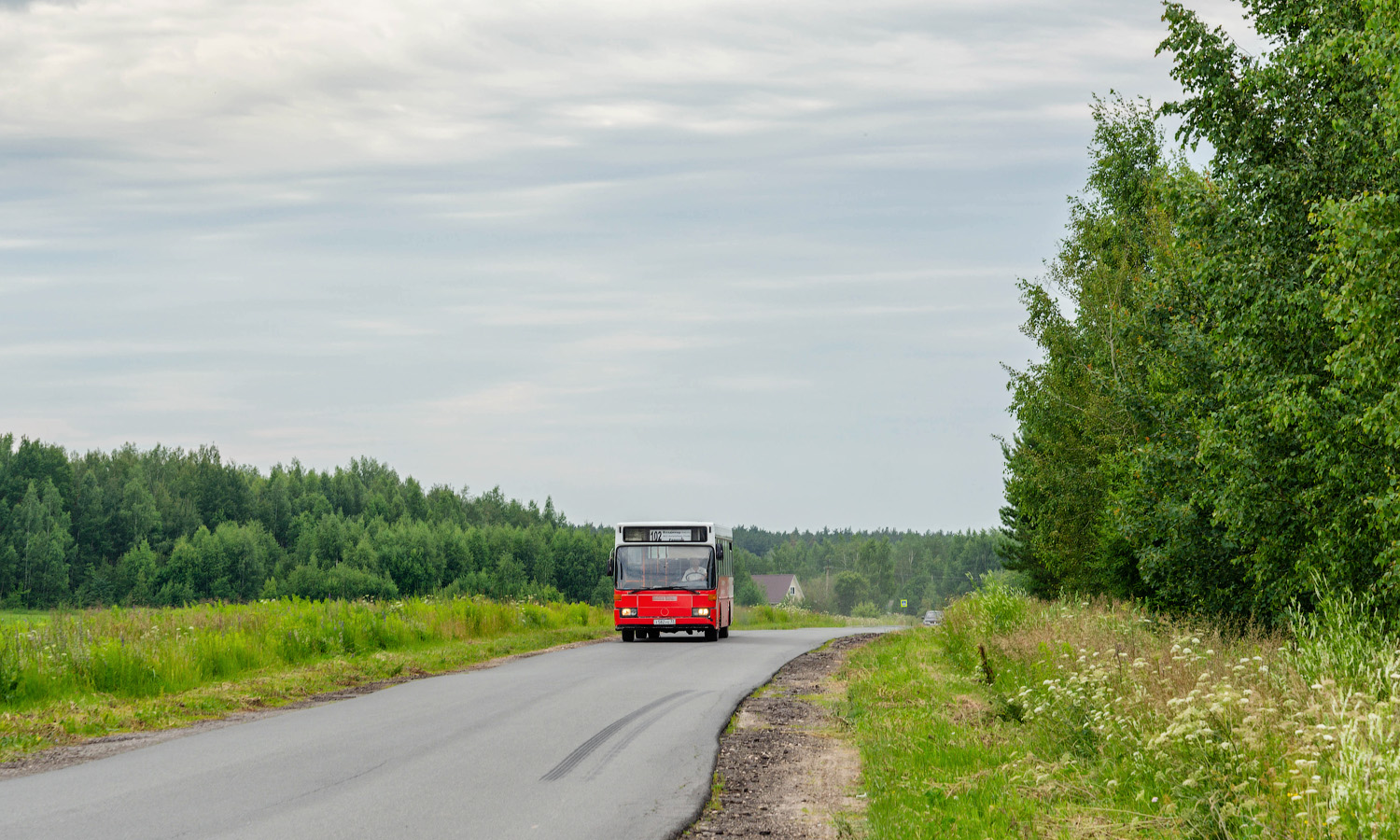 Владимирская область, Mercedes-Benz O405 № Т 582 УЕ 33; Владимирская область — Разные фотографии