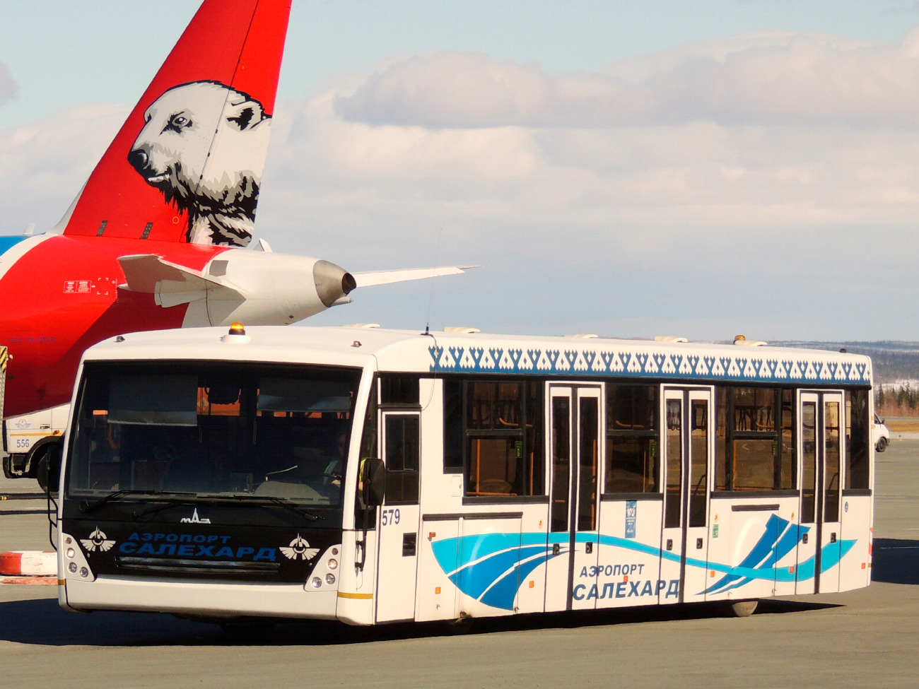 Ямало-Ненецкий АО, МАЗ-171.075 № 579