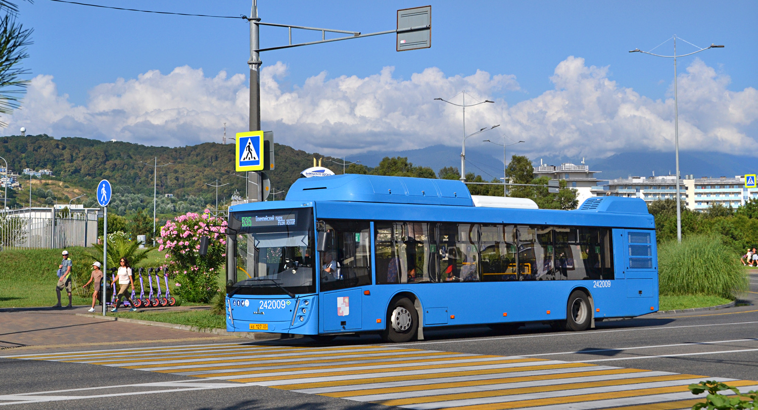 Краснодарский край, МАЗ-203.С65 № 242009