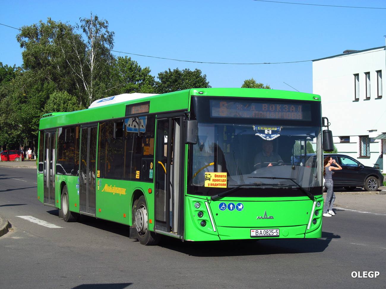 Минская область, МАЗ-203.047 № 15962 Минская область, МАЗ-203.047 № 15962