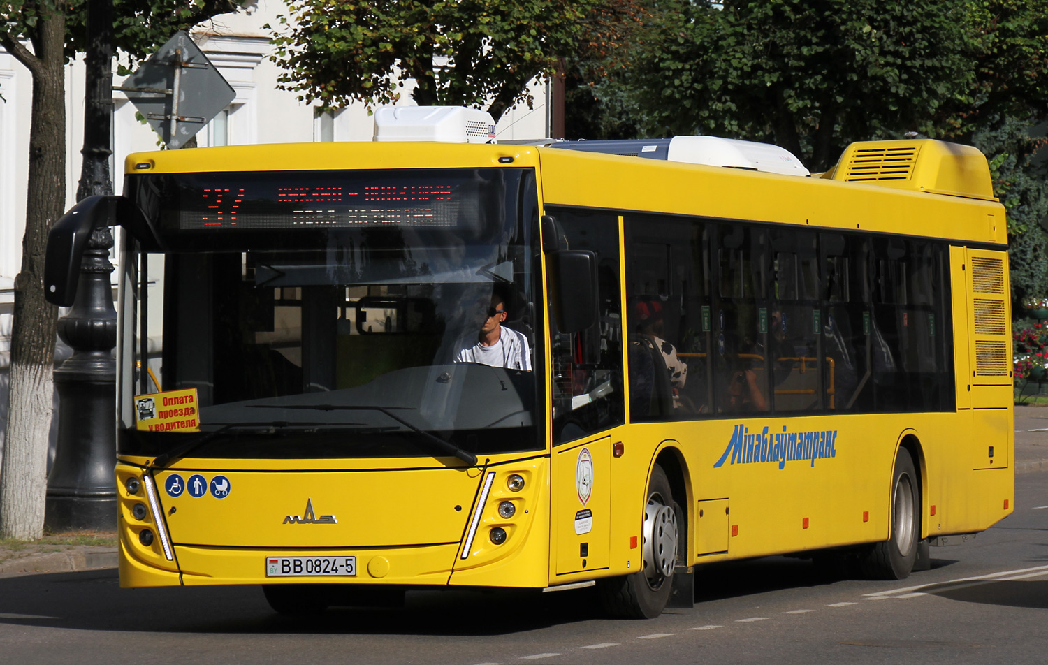 Минская область, МАЗ-203.047 № ВВ 0824-5