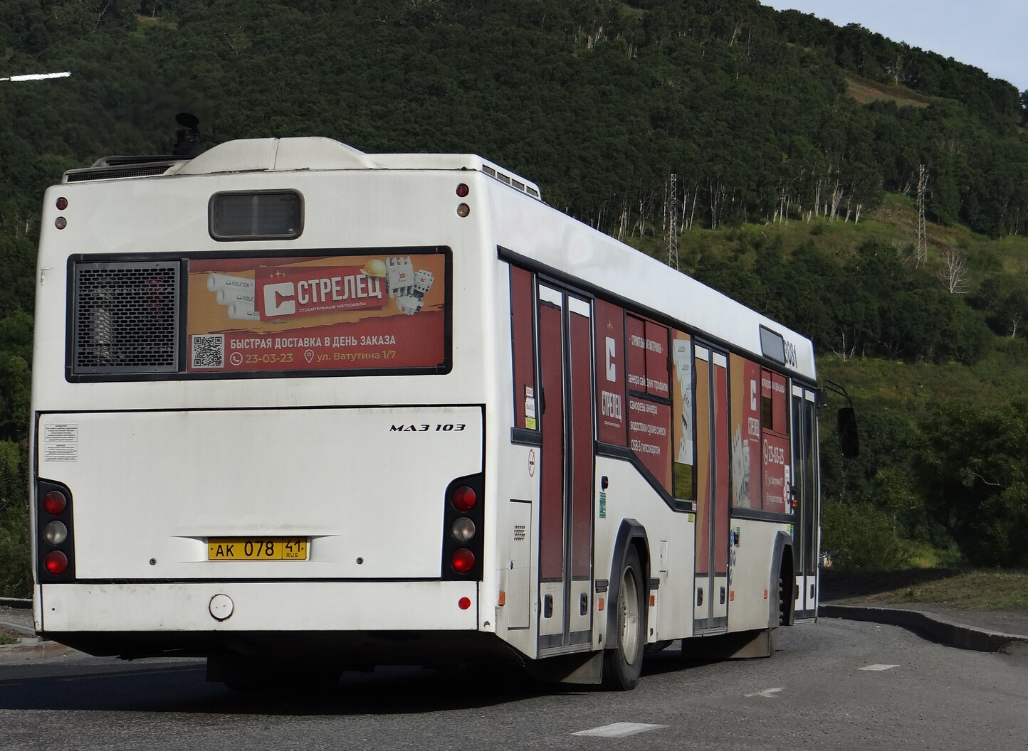Камчатский край, МАЗ-103.486 № 3081