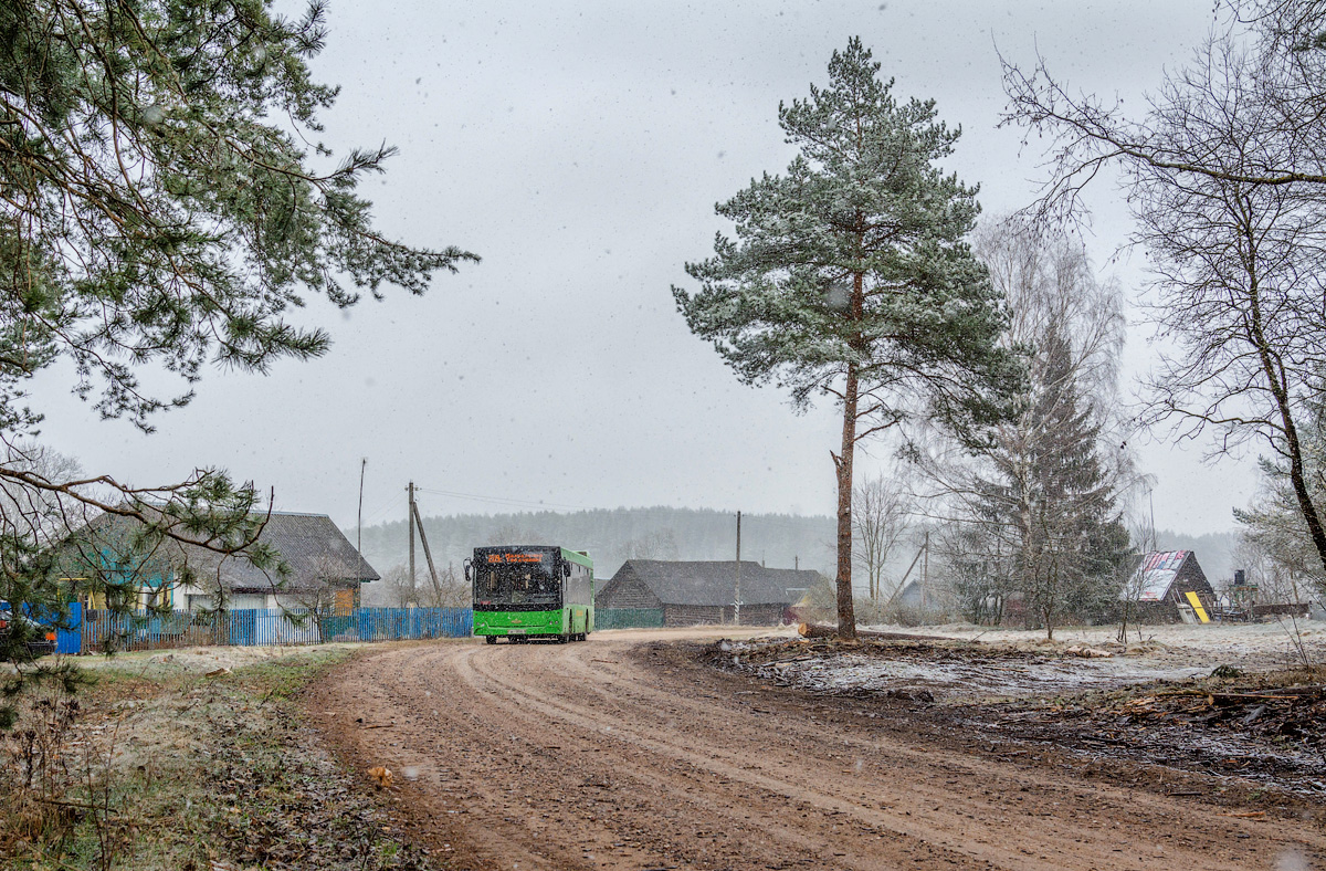 Минская область, МАЗ-203.065 № 23405; Минская область — Разные фотографии