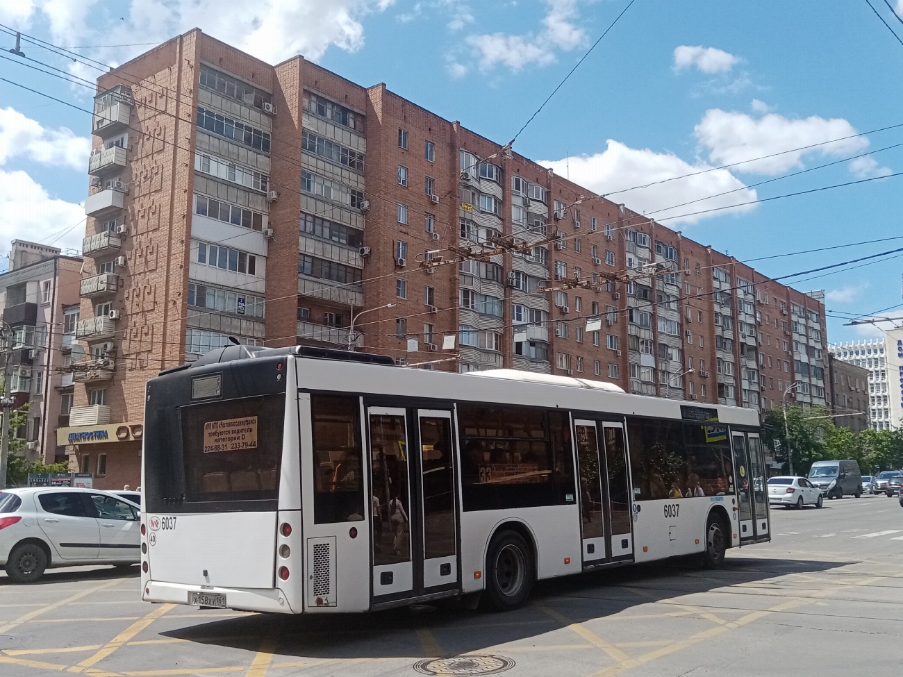 Ростовская область, МАЗ-203.069 № 6037