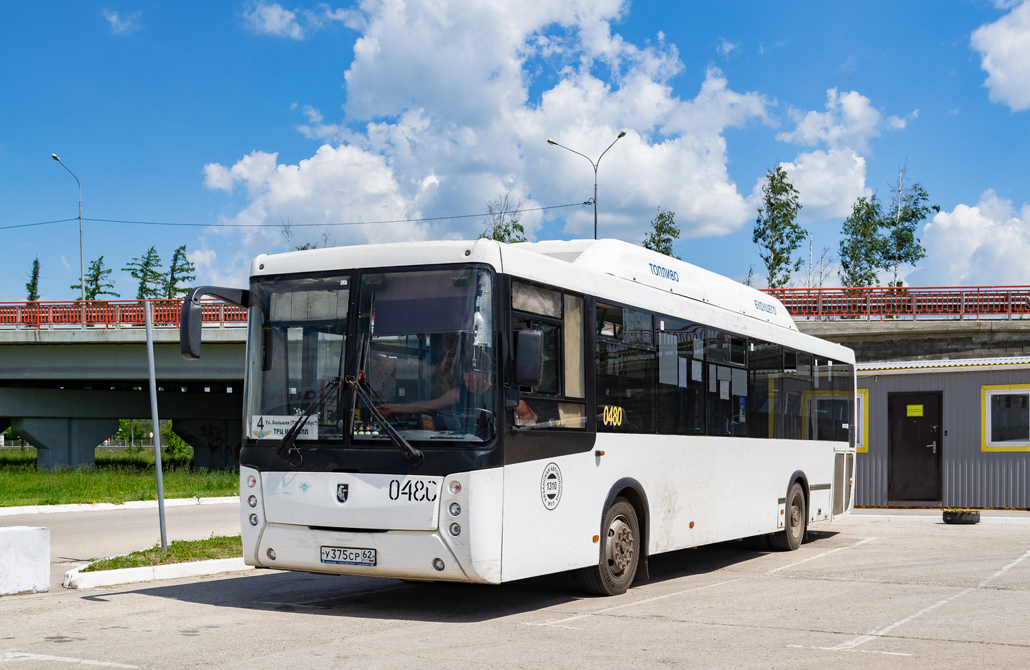 Рязанская область, НефАЗ-5299-30-31 № 0480