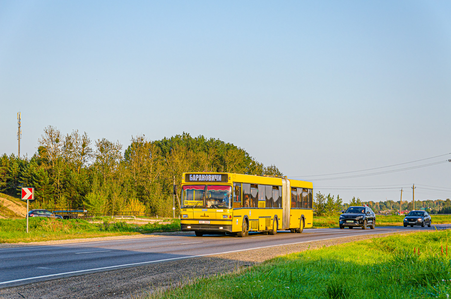 Брестская область, МАЗ-105.060 № 10480