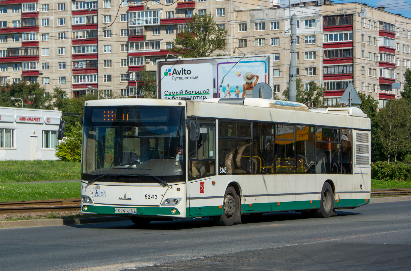 Санкт-Петербург, МАЗ-203.085 № 8343