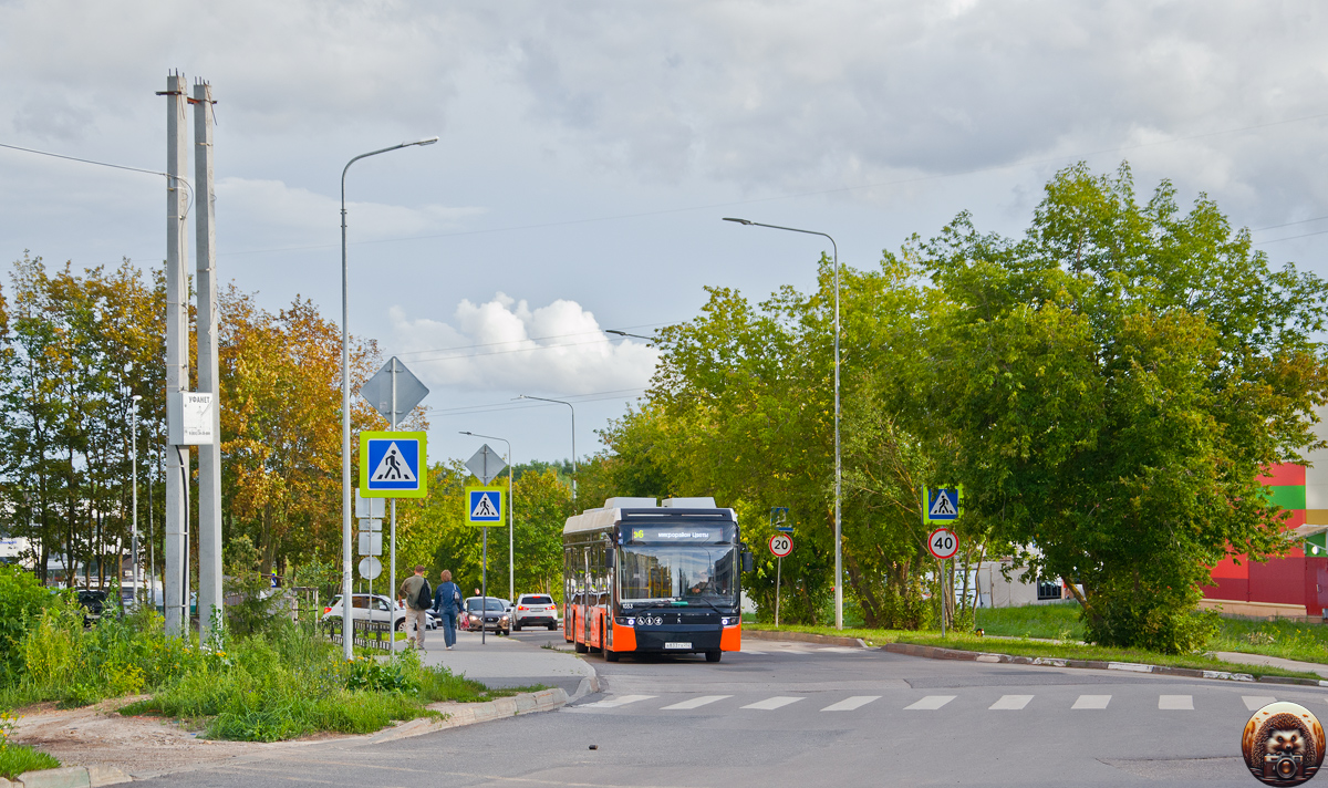 Нижегородская область, Нижэкотранс-6256 (БКМ-Е450) № 1033; Нижегородская область &mdash; Разные фотографии