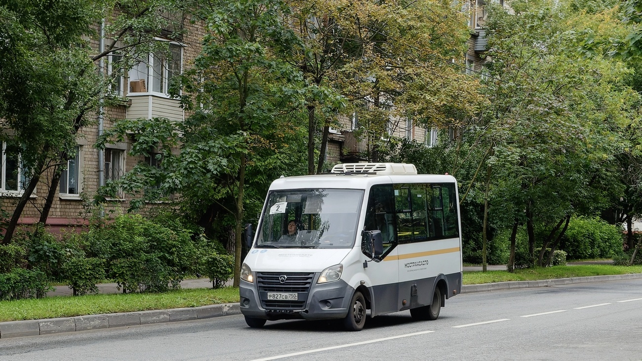 Московская область, Луидор-2250DS (ГАЗ Next) № 3174