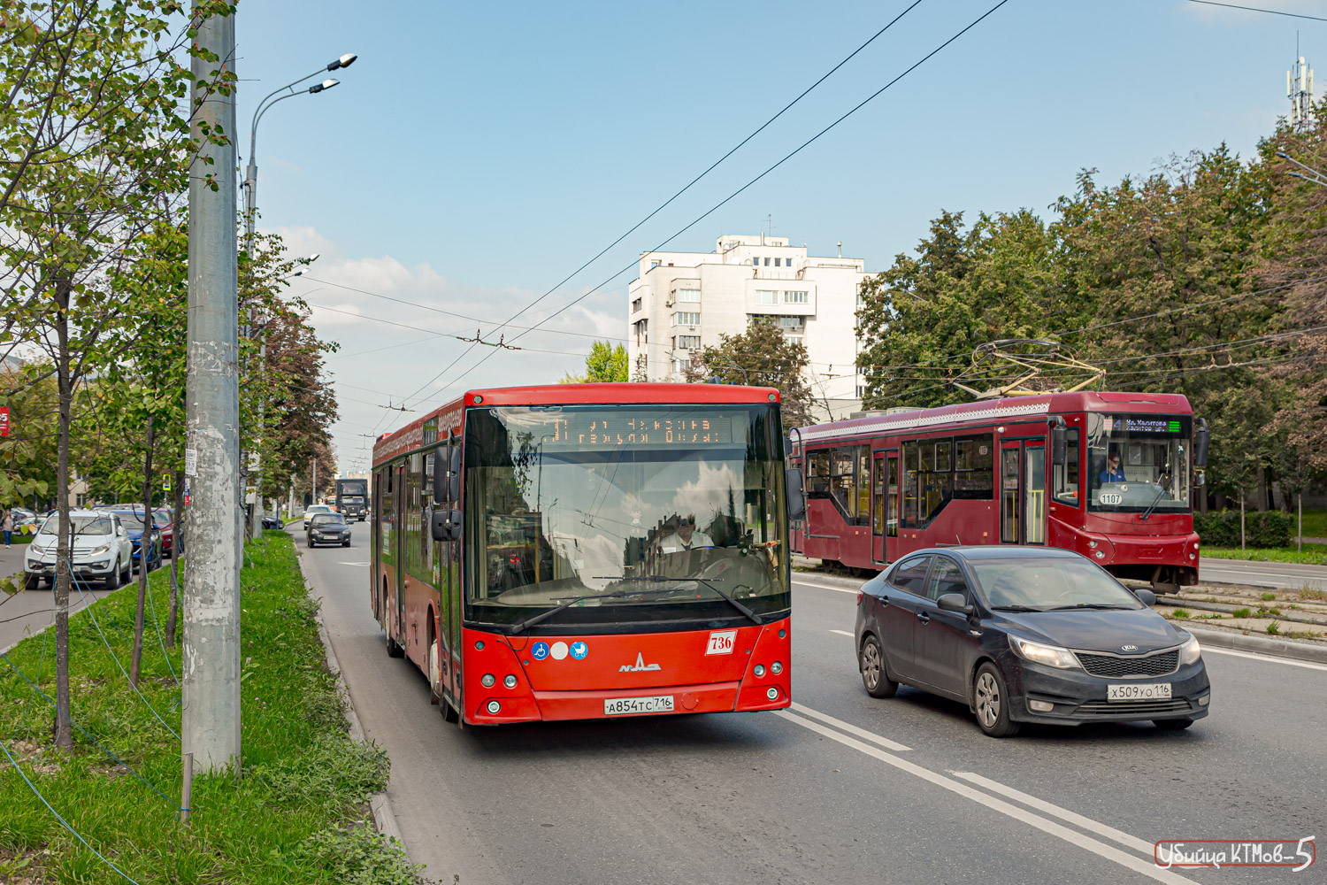 Татарстан, МАЗ-203.069 № 736