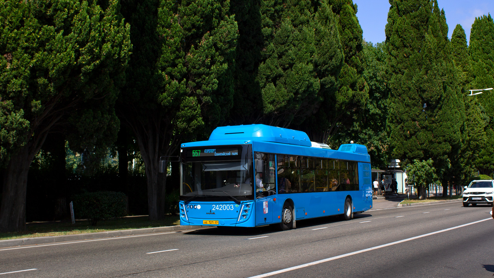 Краснодарский край, МАЗ-203.С65 № 242003