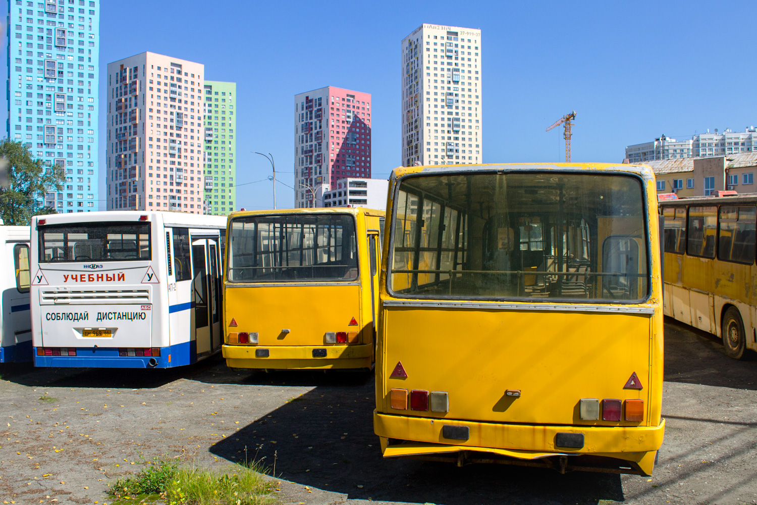 Свердловская область, Ikarus 260.50 № Ikarus 260; Свердловская область, Ikarus 280.80 № Ikarus 280