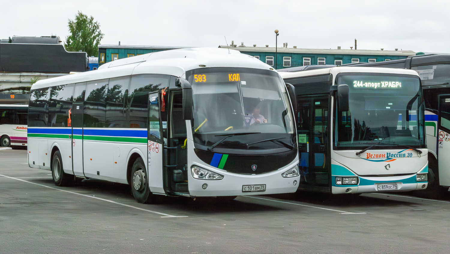 Калининградская область, Irizar i4 № С 101 ВМ 39