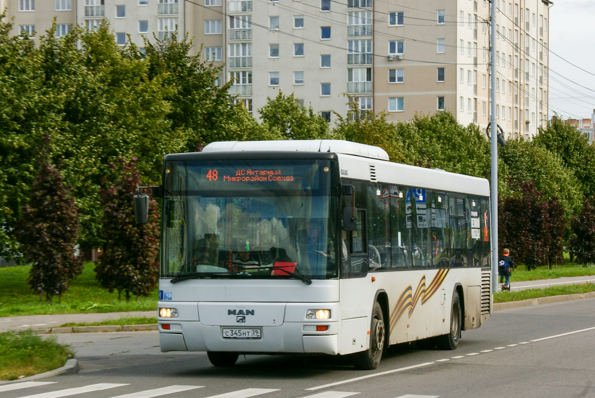 Калининградская область, MAN A78 Lion's City TÜ EL283 № С 345 НТ 39