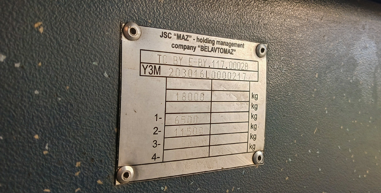 Пермский край, МАЗ-203.016 № Т 138 УТ 797