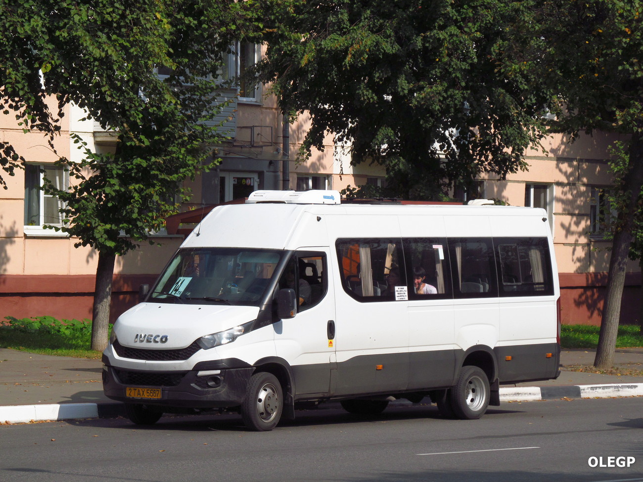 Витебская область, Нижегородец-2227UR (IVECO Daily) № 2 ТАХ 5667