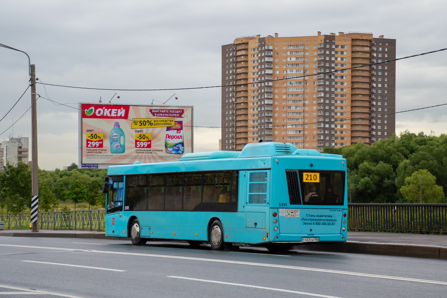 Санкт-Петербург, МАЗ-203.047 № 5591