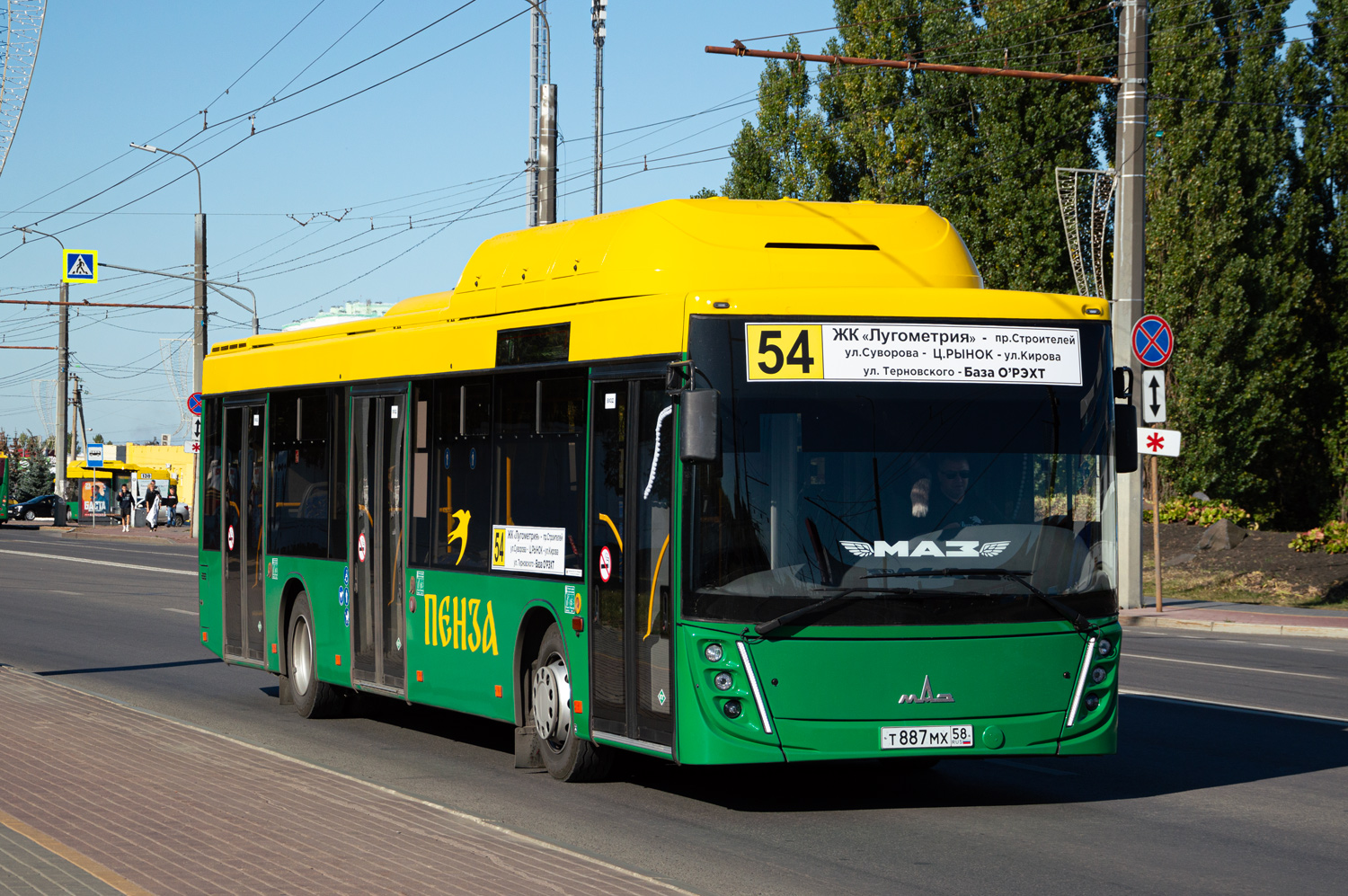 Пензенская область, МАЗ-203.948 № Т 887 МХ 58