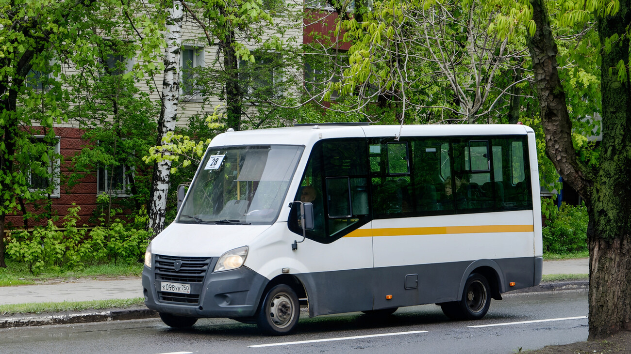 Moskevská oblast, Luidor-225019 (GAZ Next) č. 101098