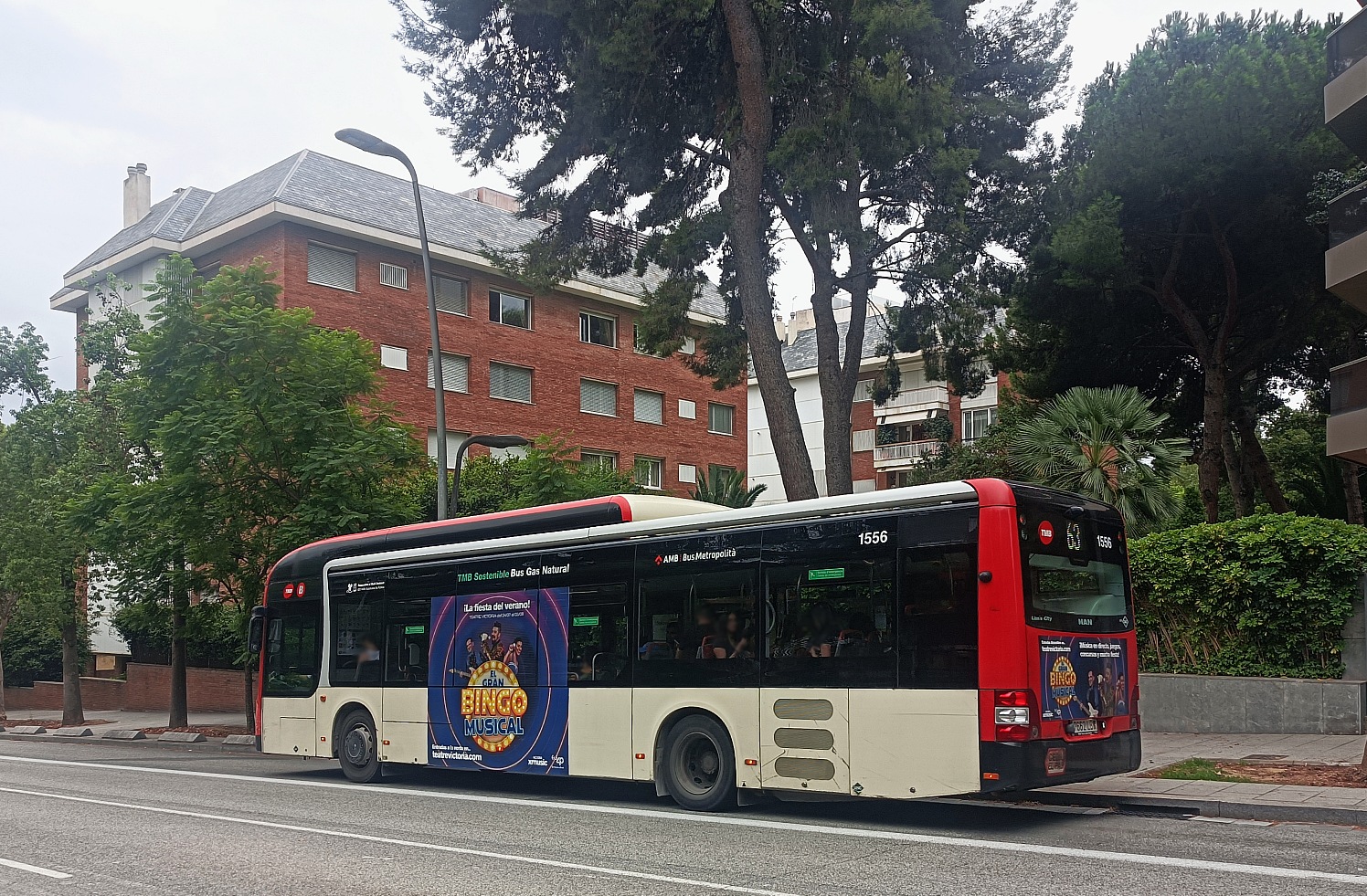 Испания, MAN A21 Lion's City NL313 CNG (Burillo) № 1556