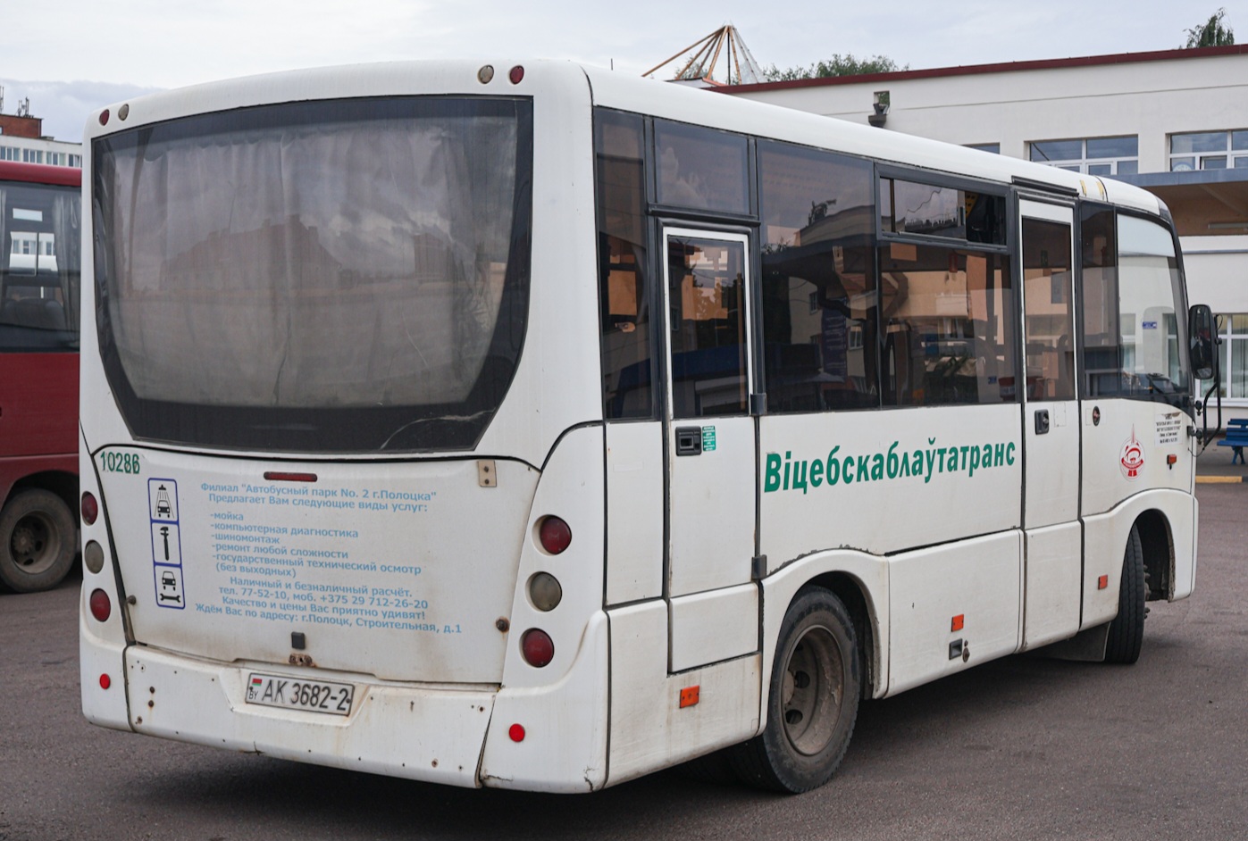 Витебская область, МАЗ-241.000 № 010286