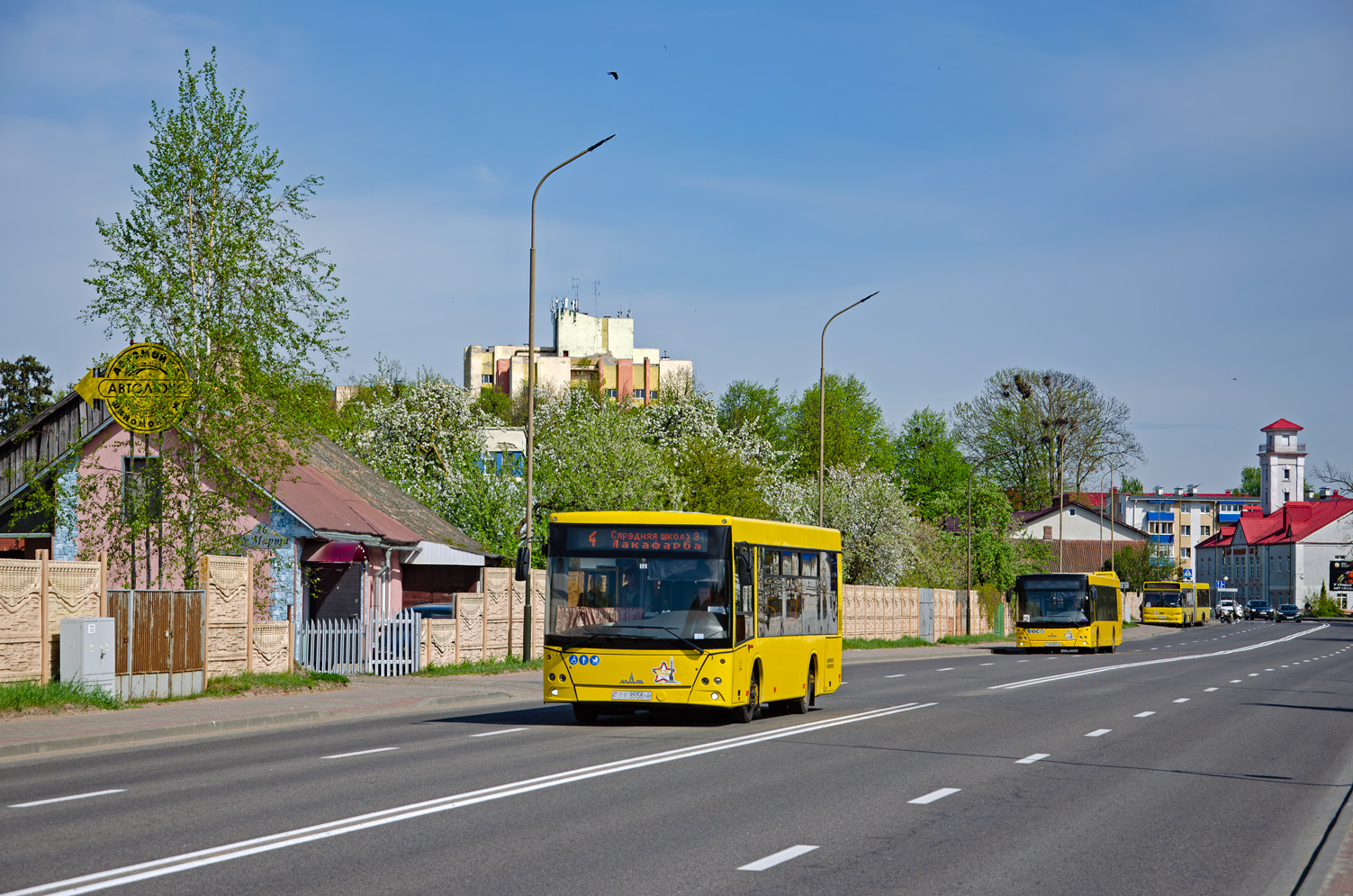 Гродненская область, МАЗ-206.063 № 020477