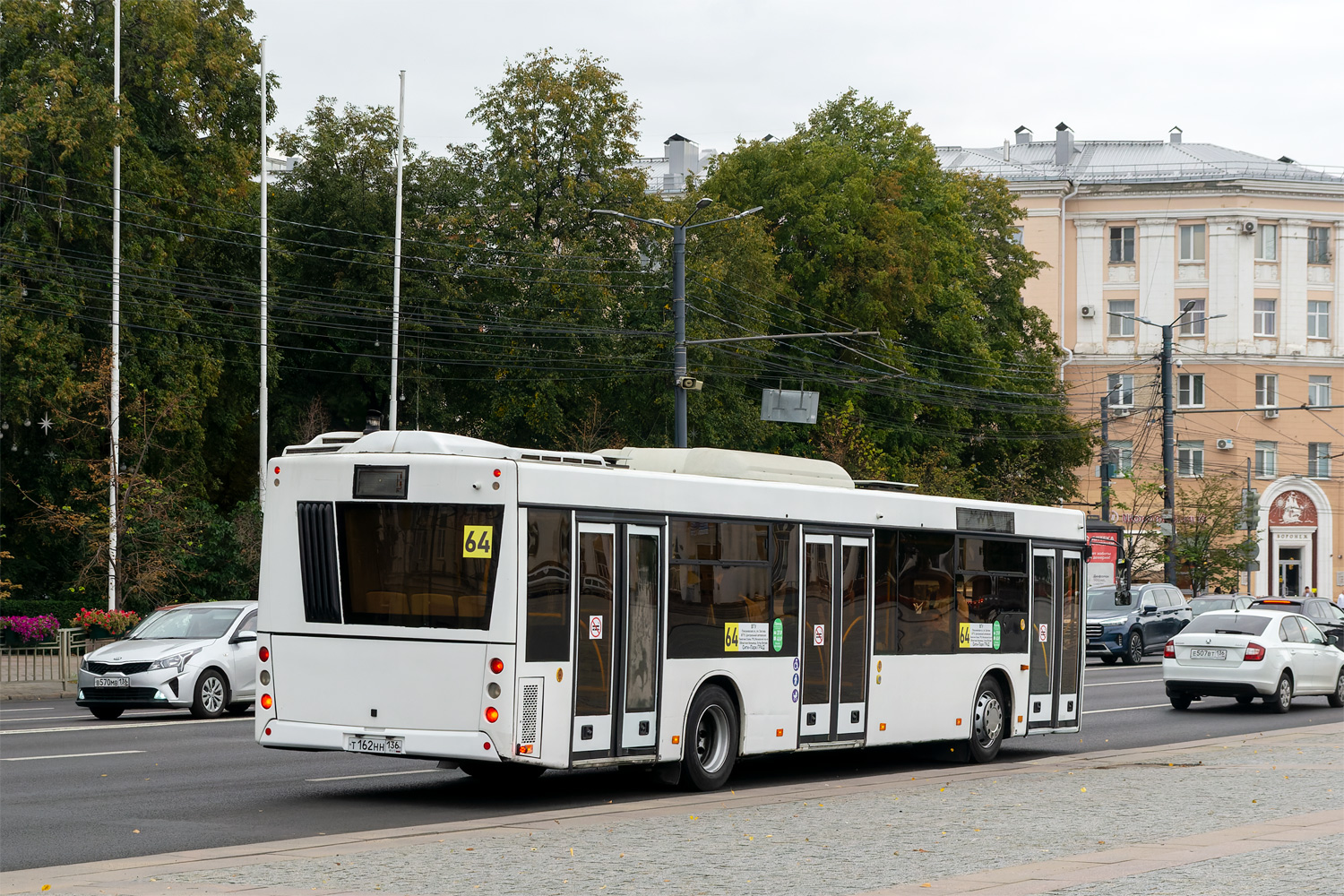 Воронежская область, МАЗ-203.016 № Т 162 НН 136