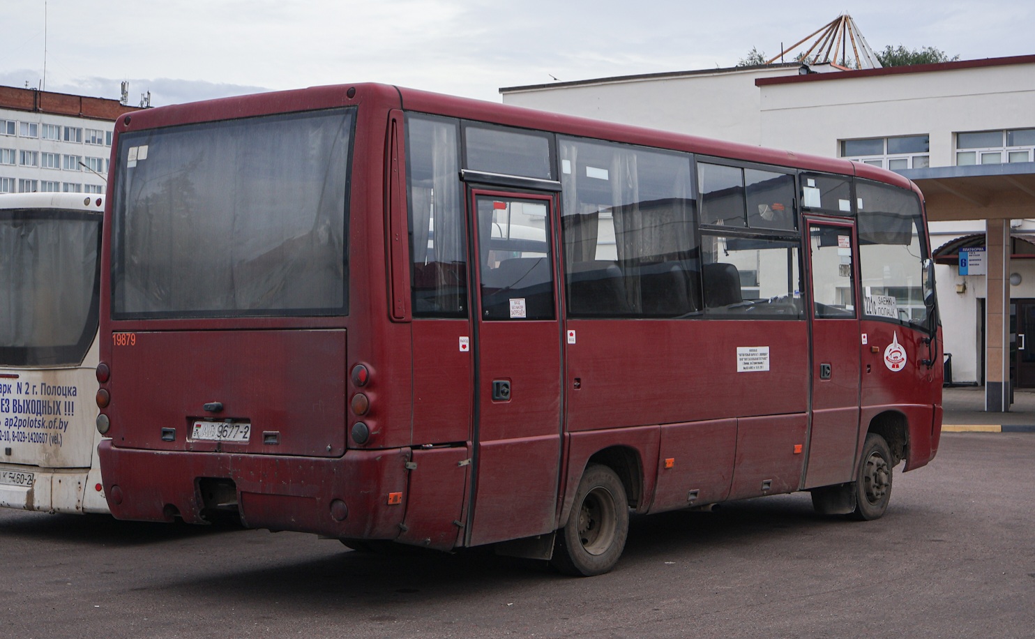 Витебская область, МАЗ-256.170 № 019879