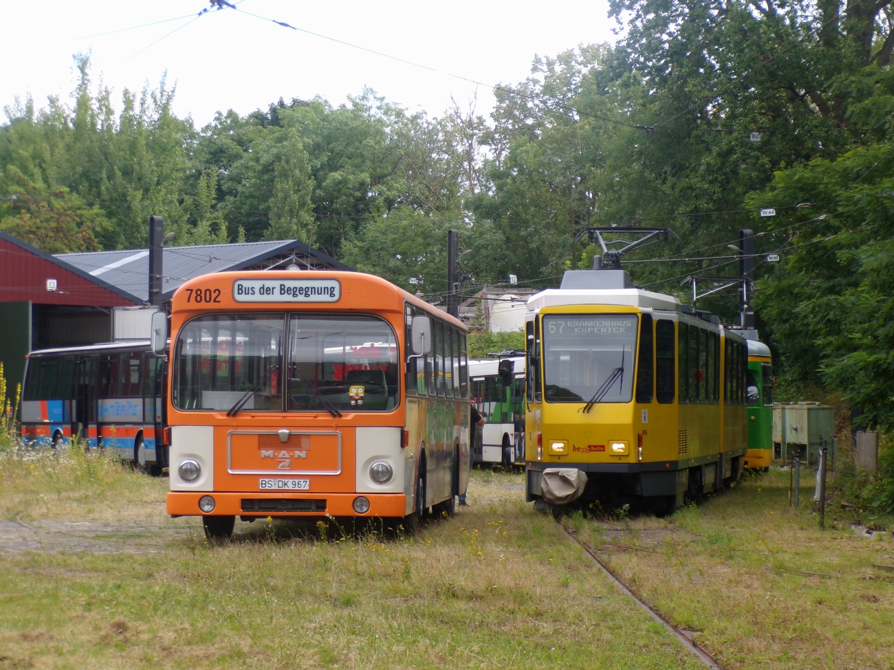 Нижняя Саксония, MAN 192 SL200 № 7802; Нижняя Саксония — Bustreffen Wehmingen Hannoversches Straßenbahnmuseum 13.07.2025