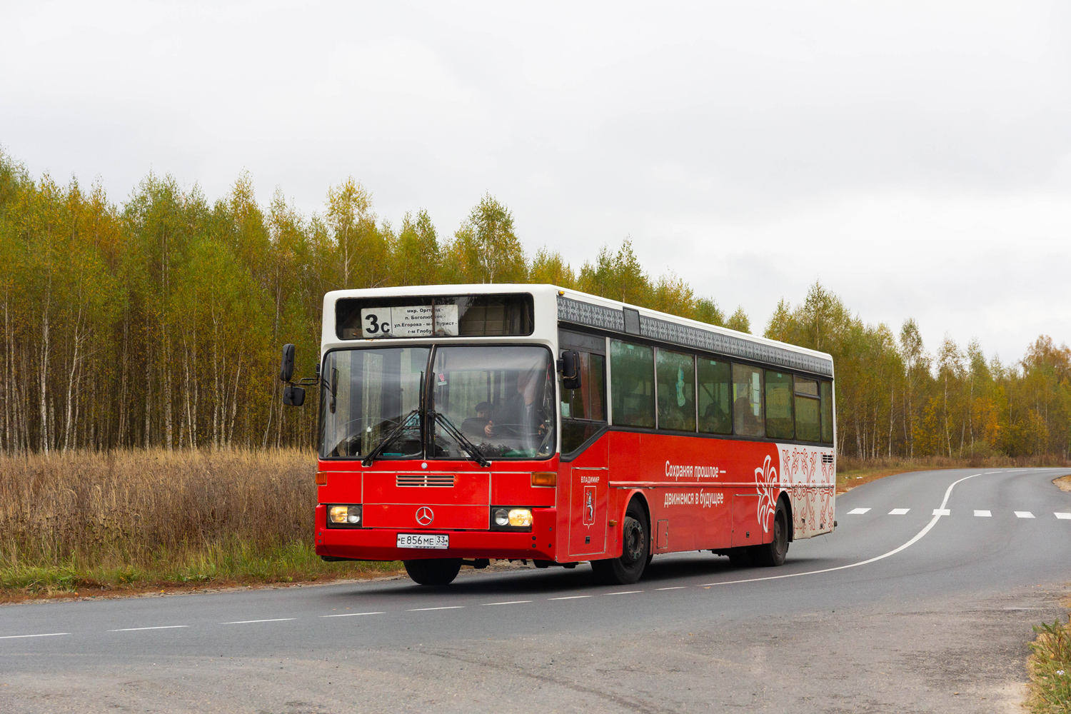 Владимирская область, Mercedes-Benz O405 № Е 856 МЕ 33