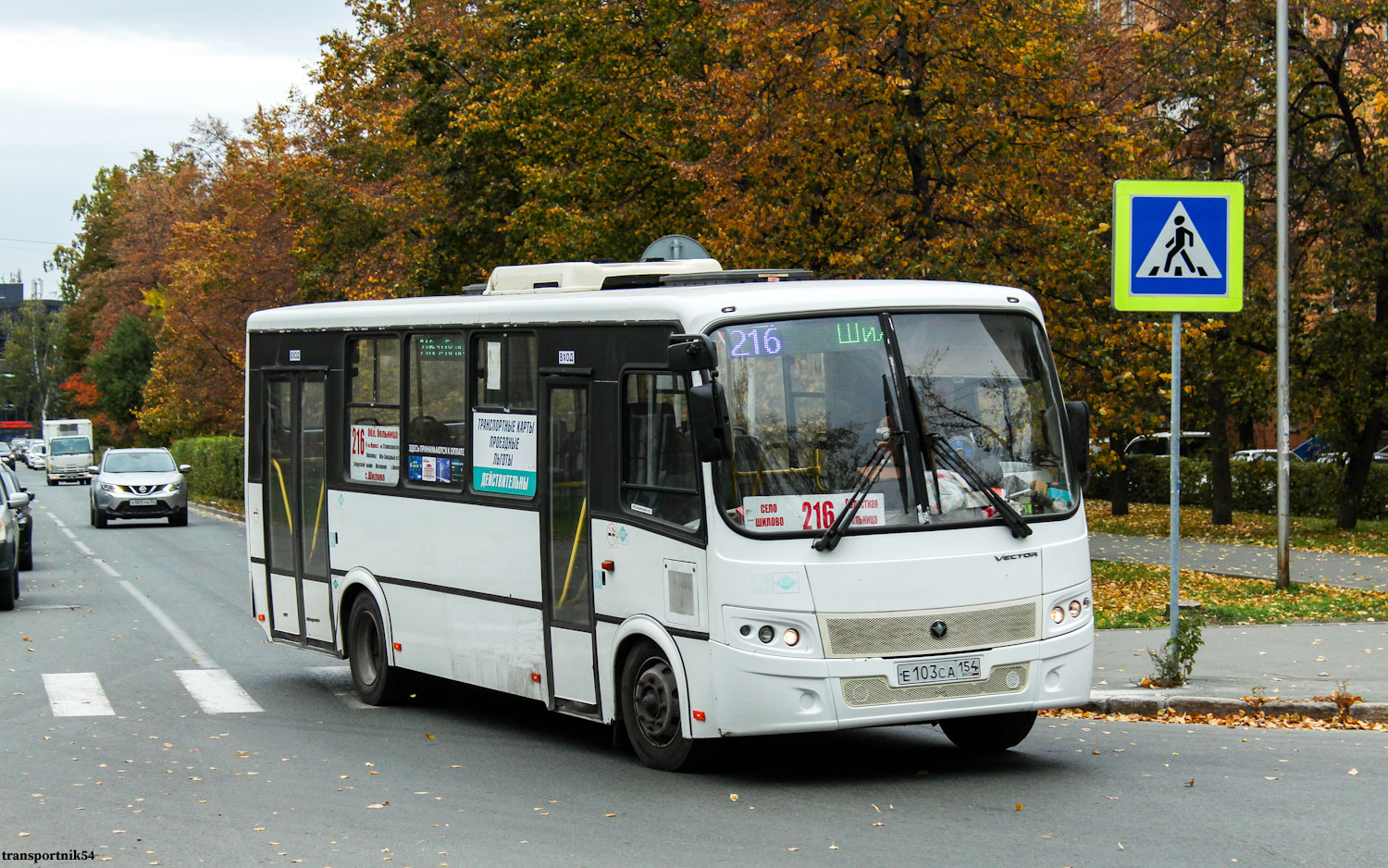 Новосибирская область, ПАЗ-320414-14 "Вектор" № Е 103 СА 154