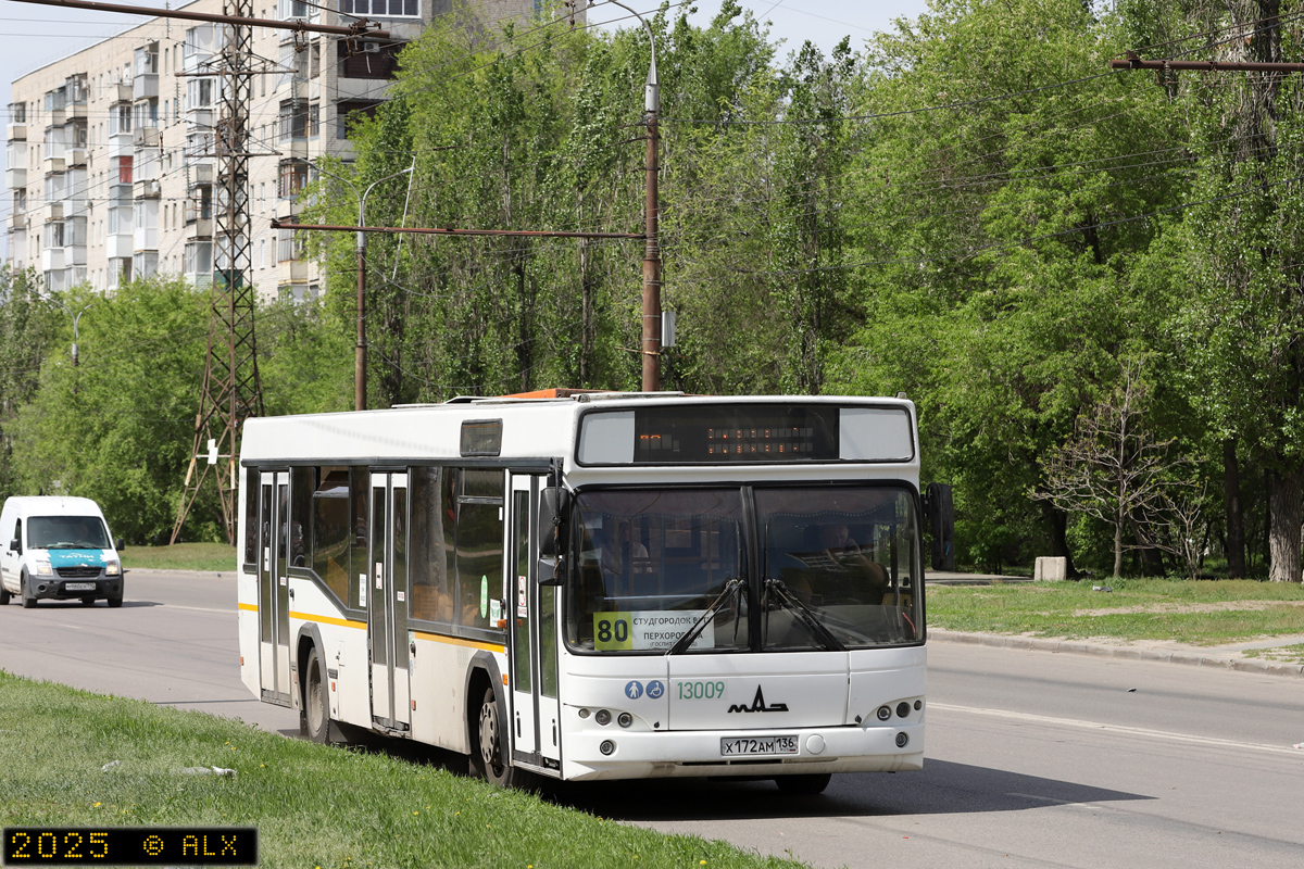 Воронежская область, МАЗ-103.465 № 13009