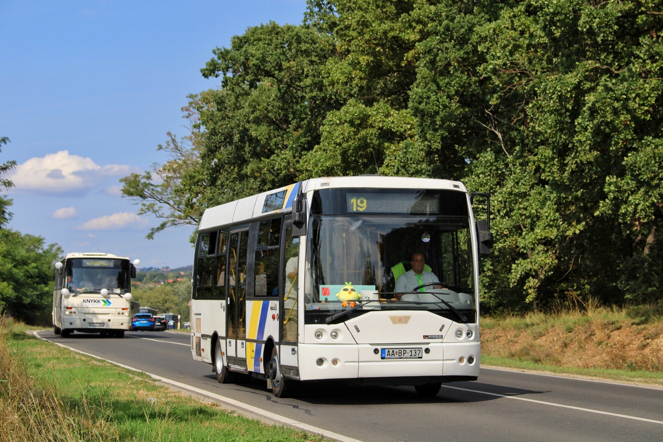 Венгрия, Ikarus EAG E91.53 № AA BP-137