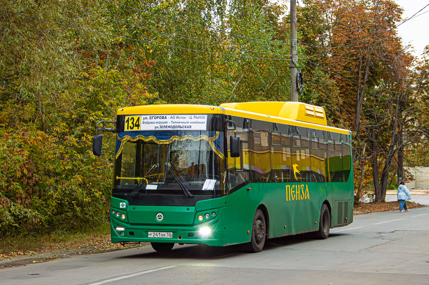 Пензенская область, КАвЗ-4270-70 № Р 241 НК 58