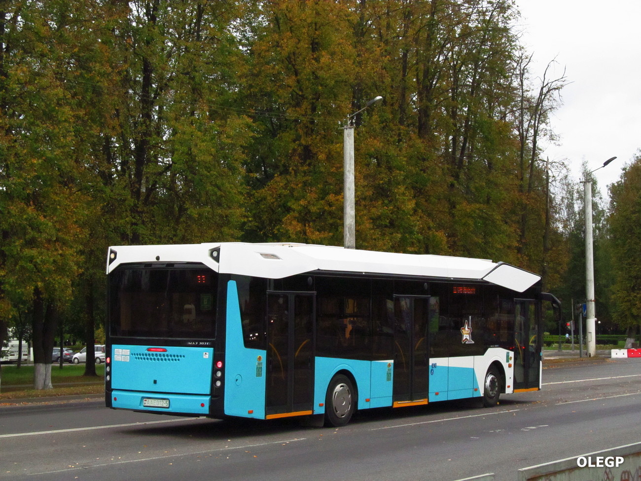 Минская область, МАЗ-303.E22 № АА Е012-5 Минская область, МАЗ-303.E22 № АА Е012-5