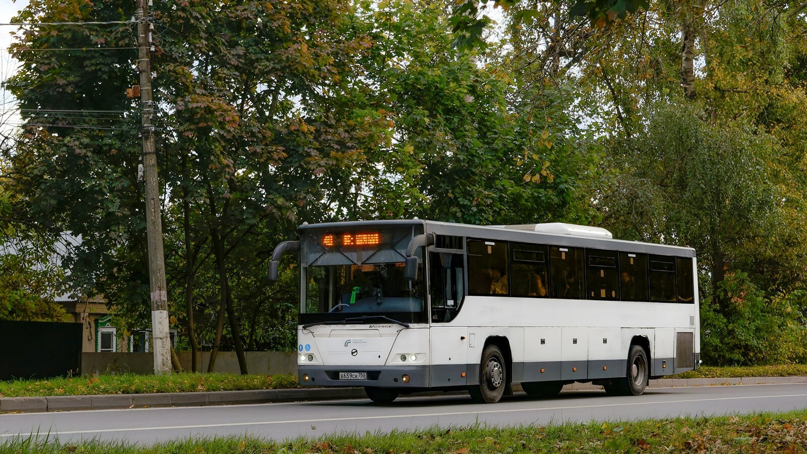 Московская область, ЛиАЗ-5250 № 6590
