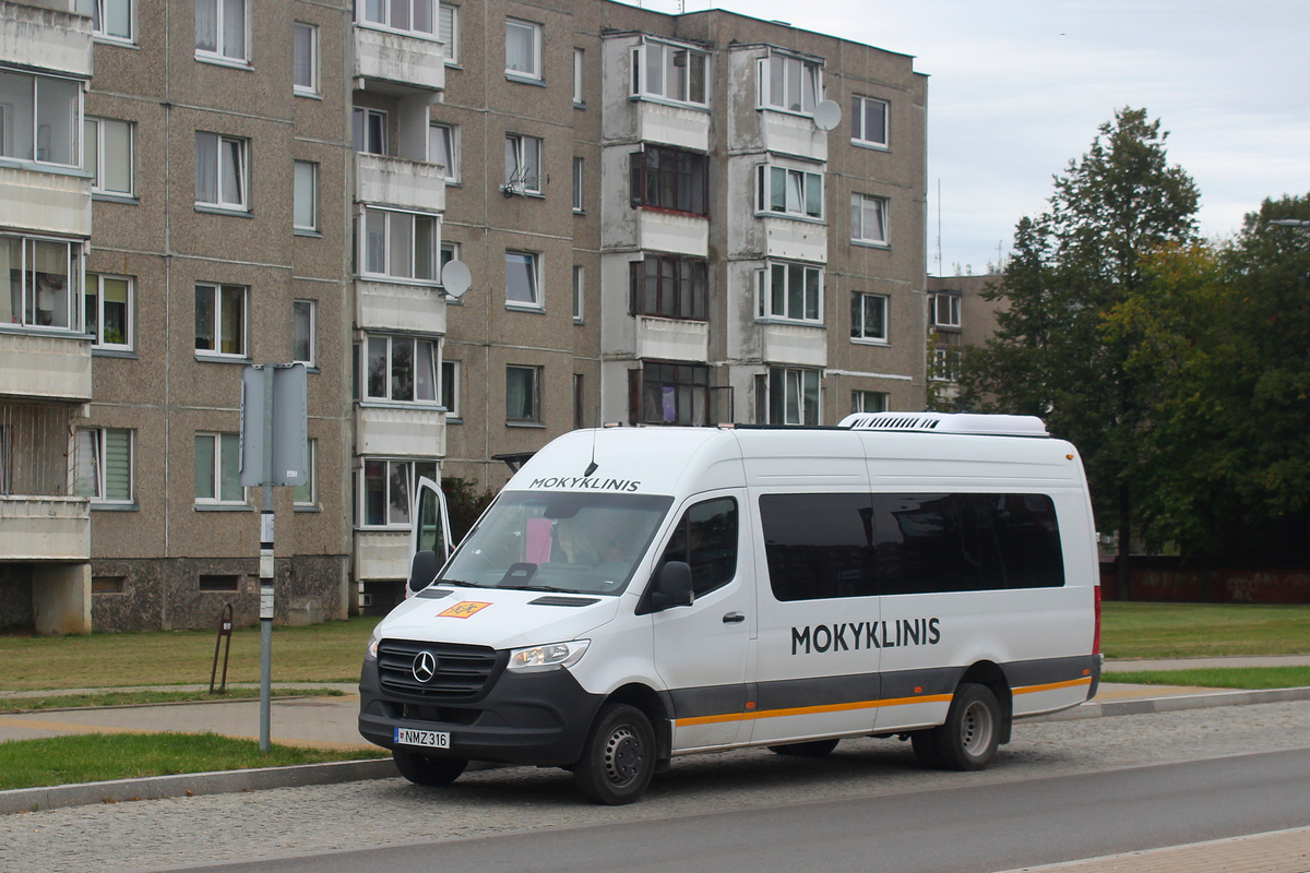 Литва, (модель неизвестна) № NMZ 316