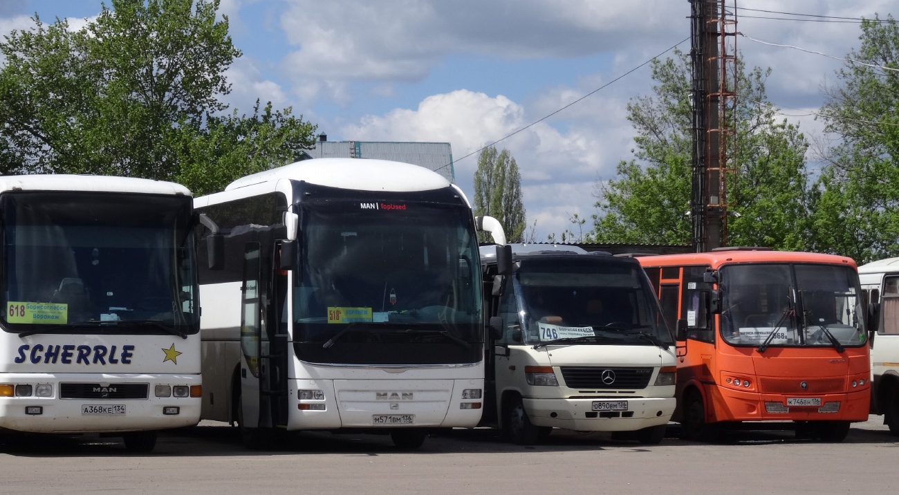 Воронежская область, MAN R07 Lion's Coach RHC444 № М 571 ВМ 136; Воронежская область, ПАЗ-320414-04 "Вектор" (1-2) № К 746 ВН 136