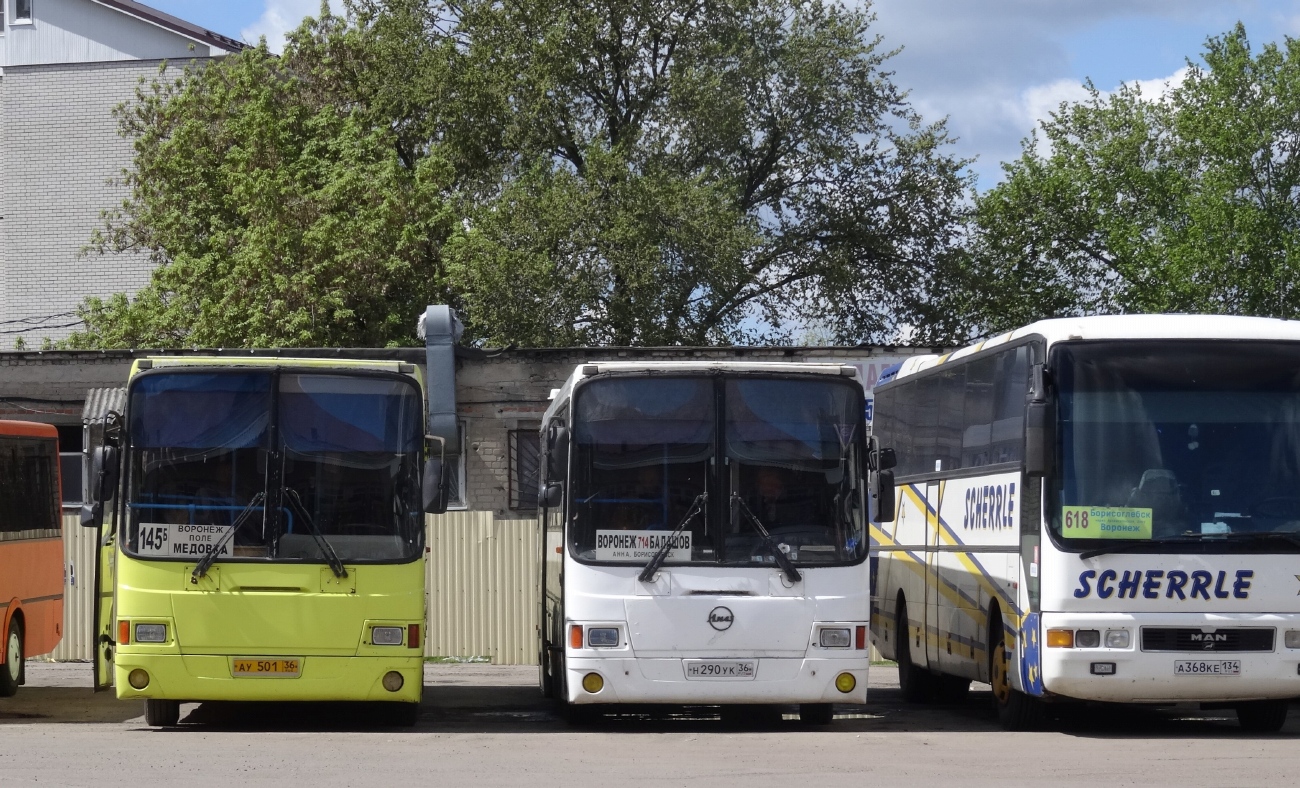 Воронежская область, ЛиАЗ-5256.33-01 (ГолАЗ) № АУ 501 36; Воронежская область, ЛиАЗ-5256.58 № Н 290 УК 36