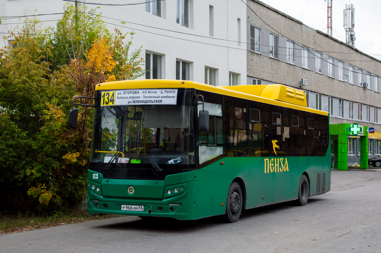 Пензенская область, КАвЗ-4270-70 № Р 966 НМ 58