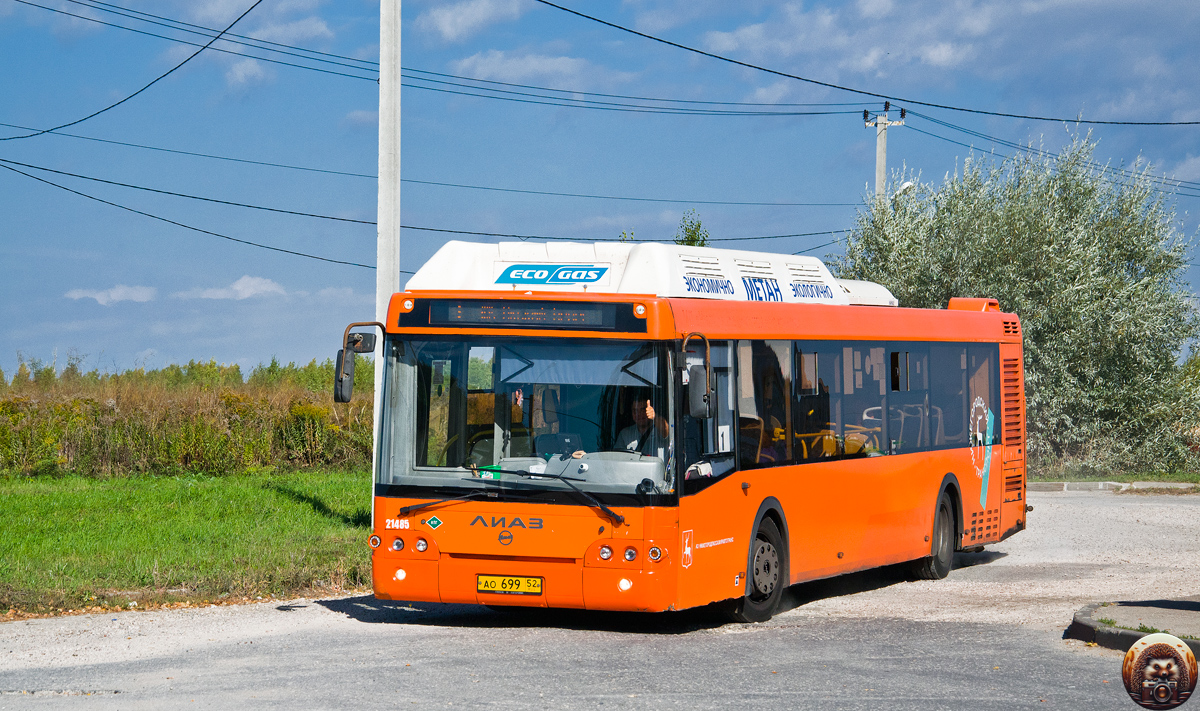 Нижегородская область, ЛиАЗ-5292.67 (CNG) № 21485